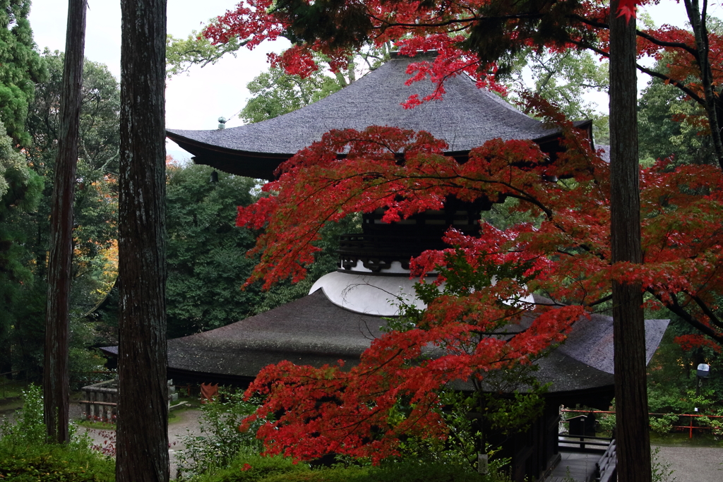 錦秋石山寺　多宝塔