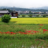 大津市田上地区