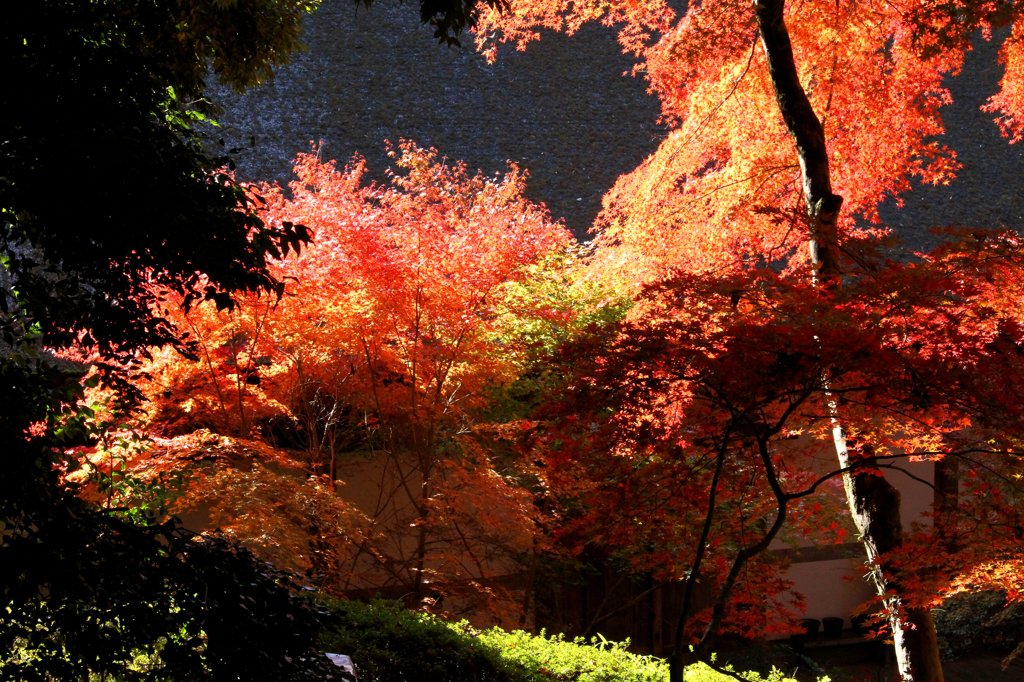 石山寺　秋Ⅳ