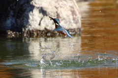 離水より②