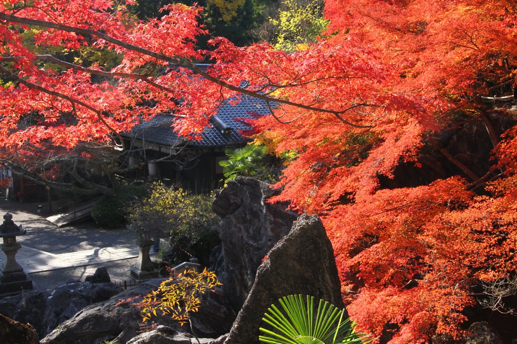石山寺　秋Ⅴ