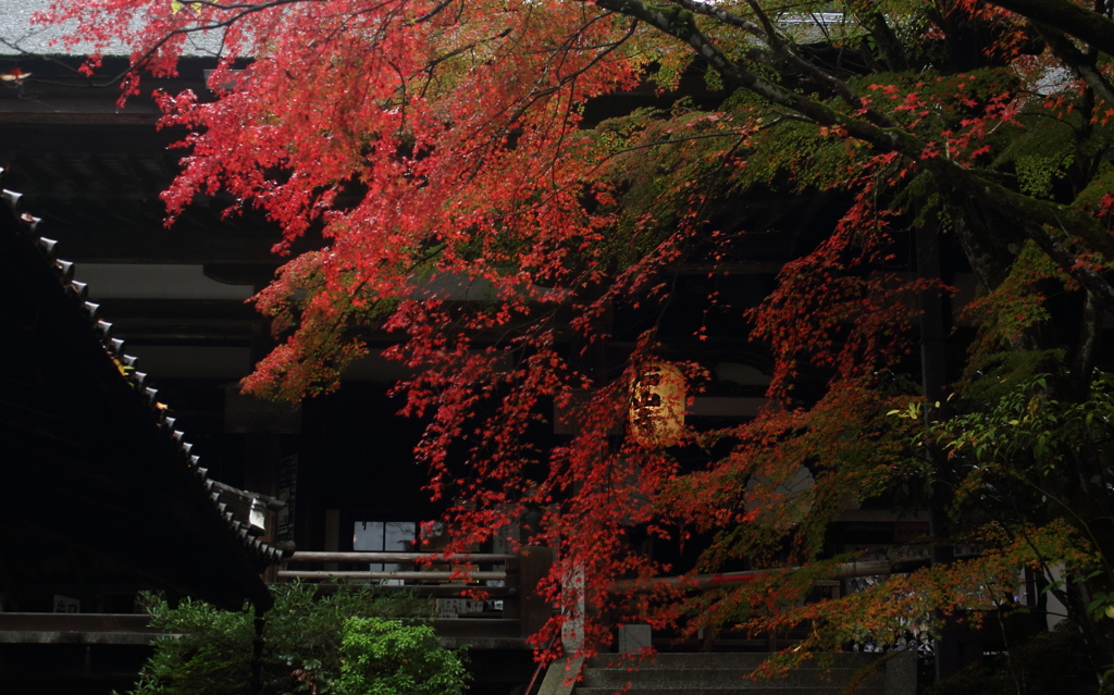 錦秋石山寺