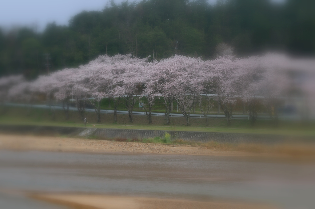 霧の大戸川