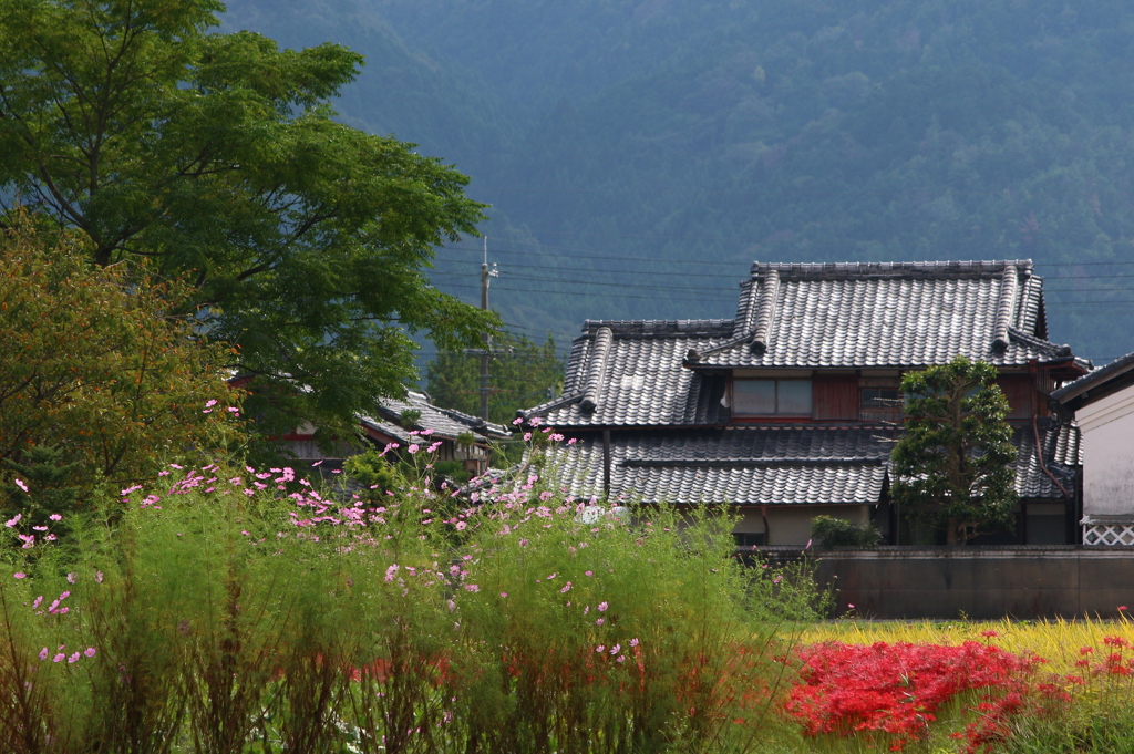 田舎の秋
