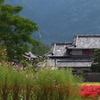 田舎の秋