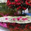 花影の池