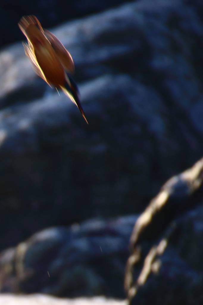 ONE　ARROW