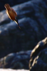ONE　ARROW