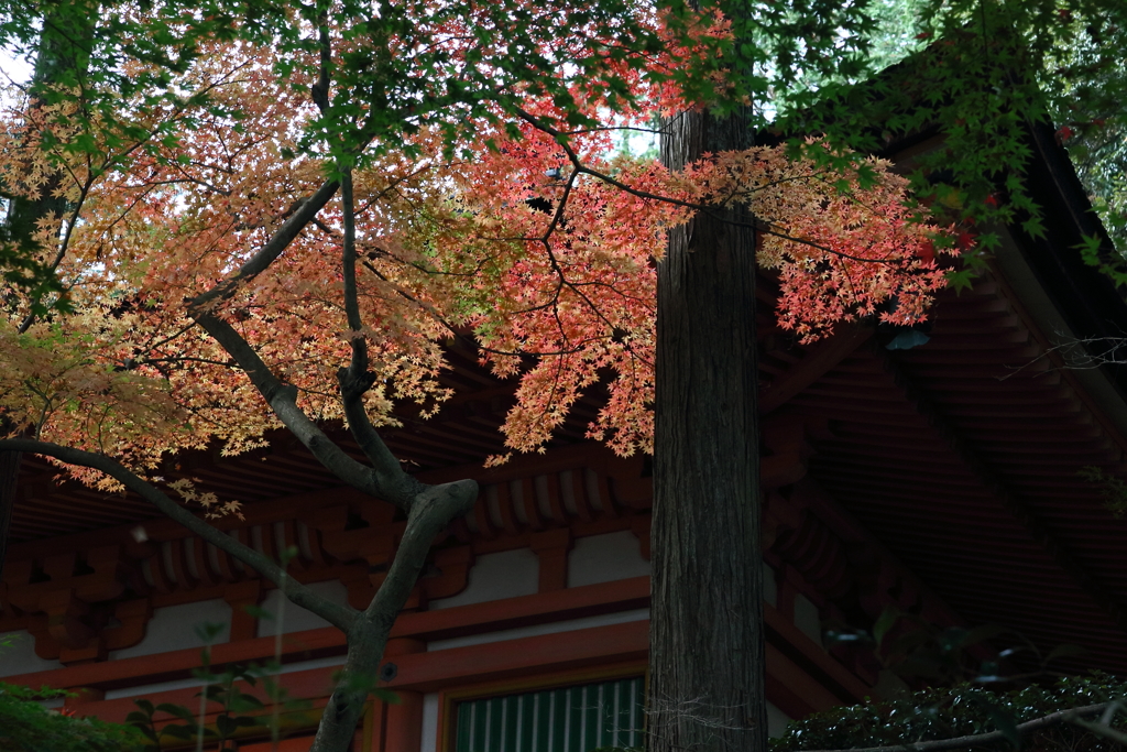 石山寺　心経堂