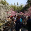 城南宮　その後