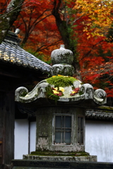 石山寺　参道の石灯籠