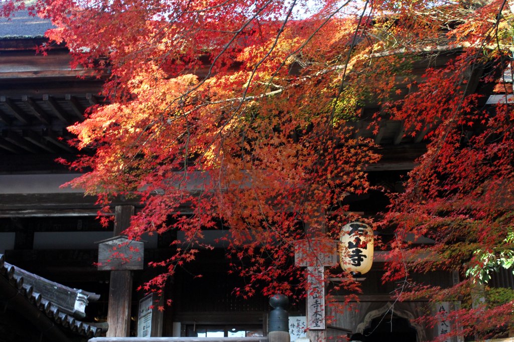 石山寺　秋Ⅰ
