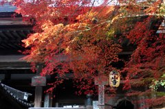 石山寺　秋Ⅰ