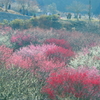 展望台へ