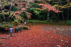 錦秋石山寺　公風園の庭