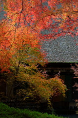 石山寺　本堂横