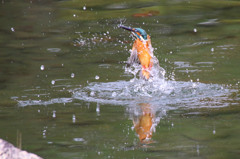 水上への帰還1