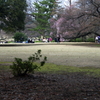 新宿御苑　休日風景