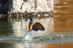 離水より①