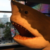 海遊館のサメ模型
