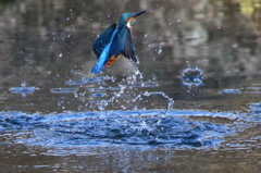 水際2
