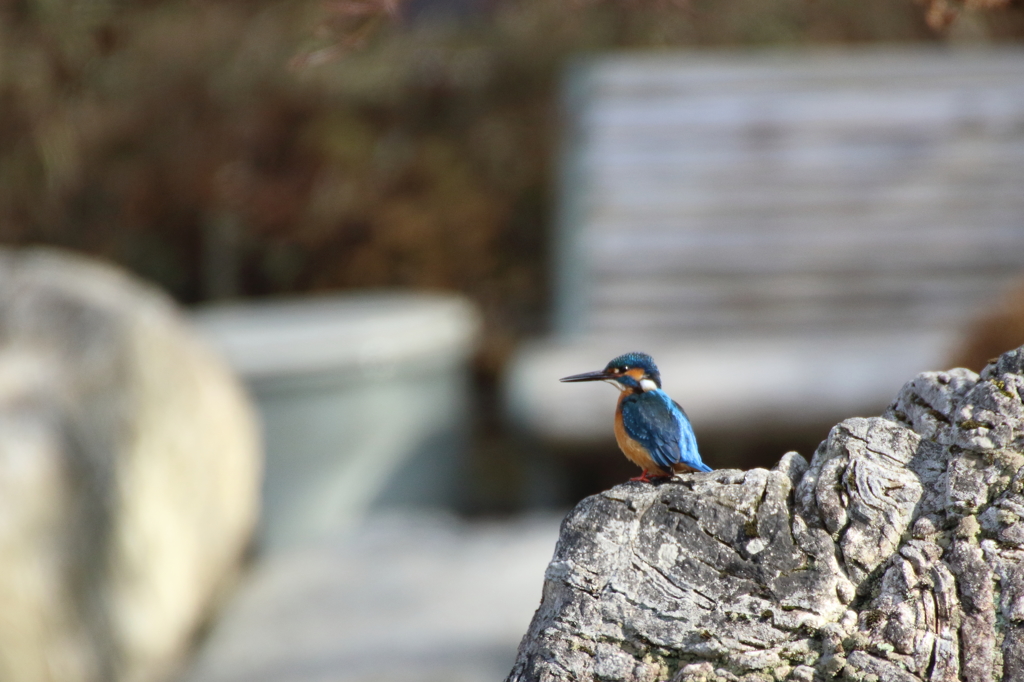 公園のベンチ前