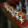 小浜明通寺のおみくじ
