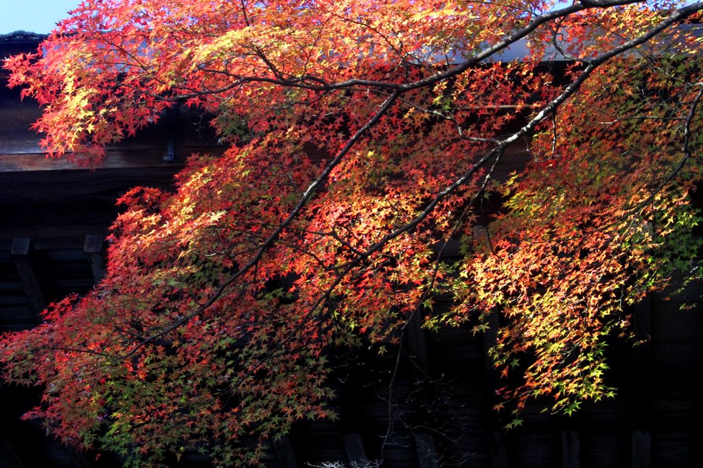 石山寺　秋Ⅱ
