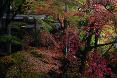 錦秋石山寺　三十八所権現社