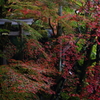 錦秋石山寺　三十八所権現社