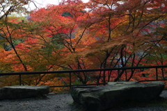 石山寺　月見亭付近