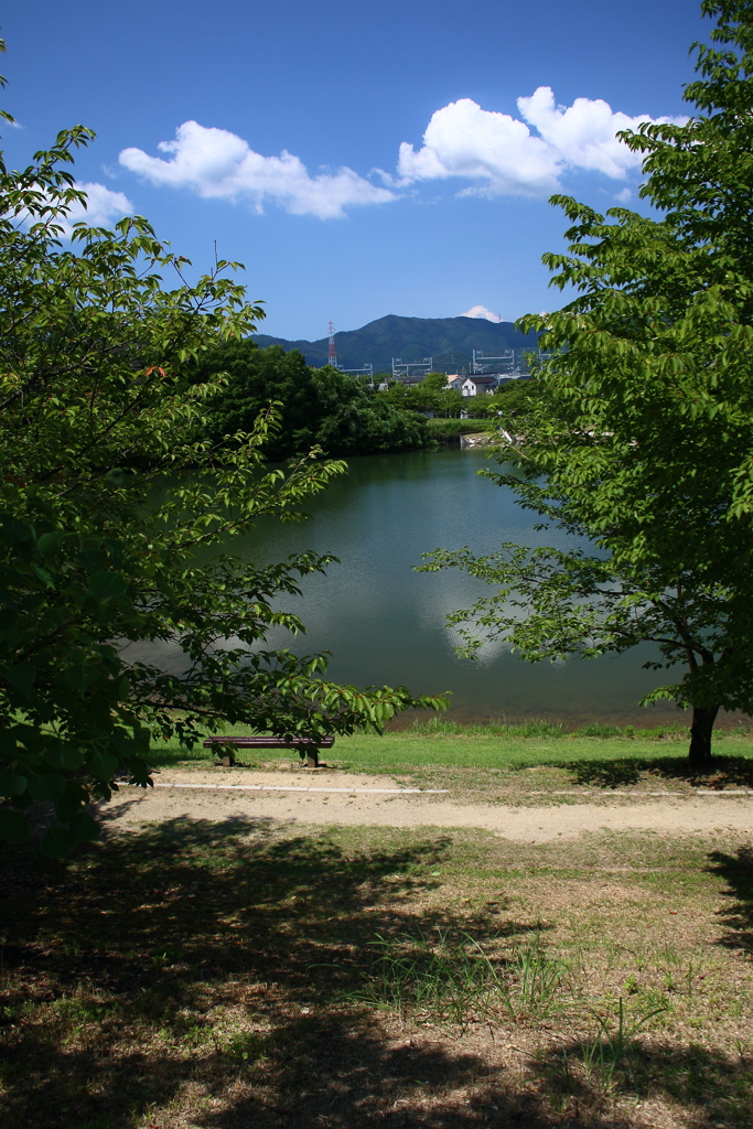 木陰