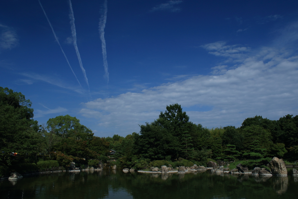 いつもの公園　