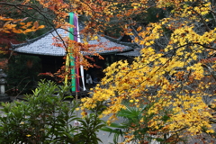 石山寺　毘沙門堂