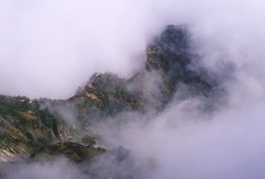 雲間の遠見尾根