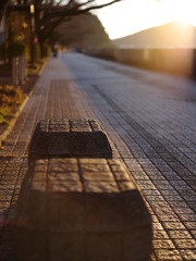 散歩道