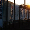夕暮れの神社