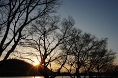 苧ヶ瀬池の夕景