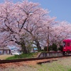 桜咲く駅に到着