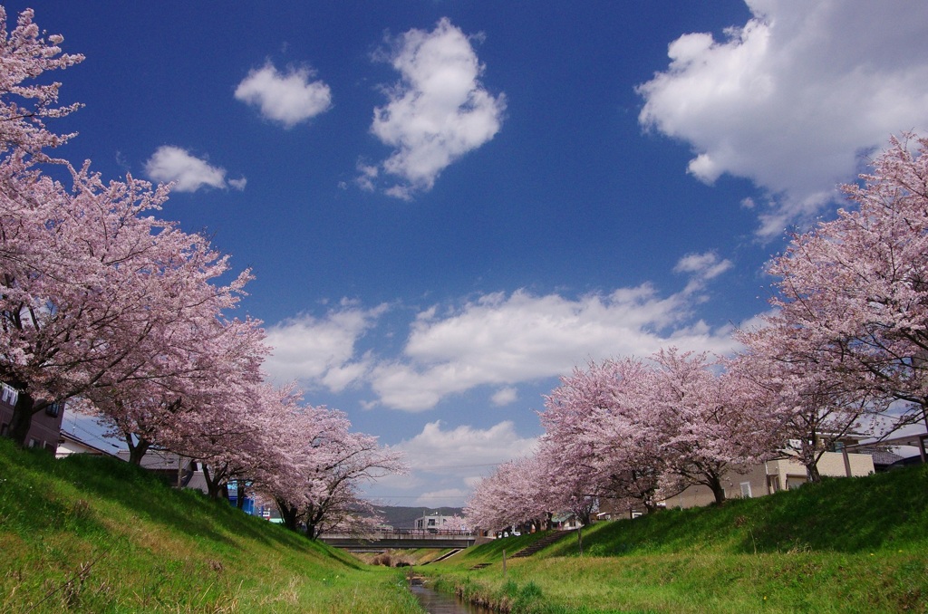 大安寺川・春空