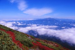 御嶽山・雲上の色づき