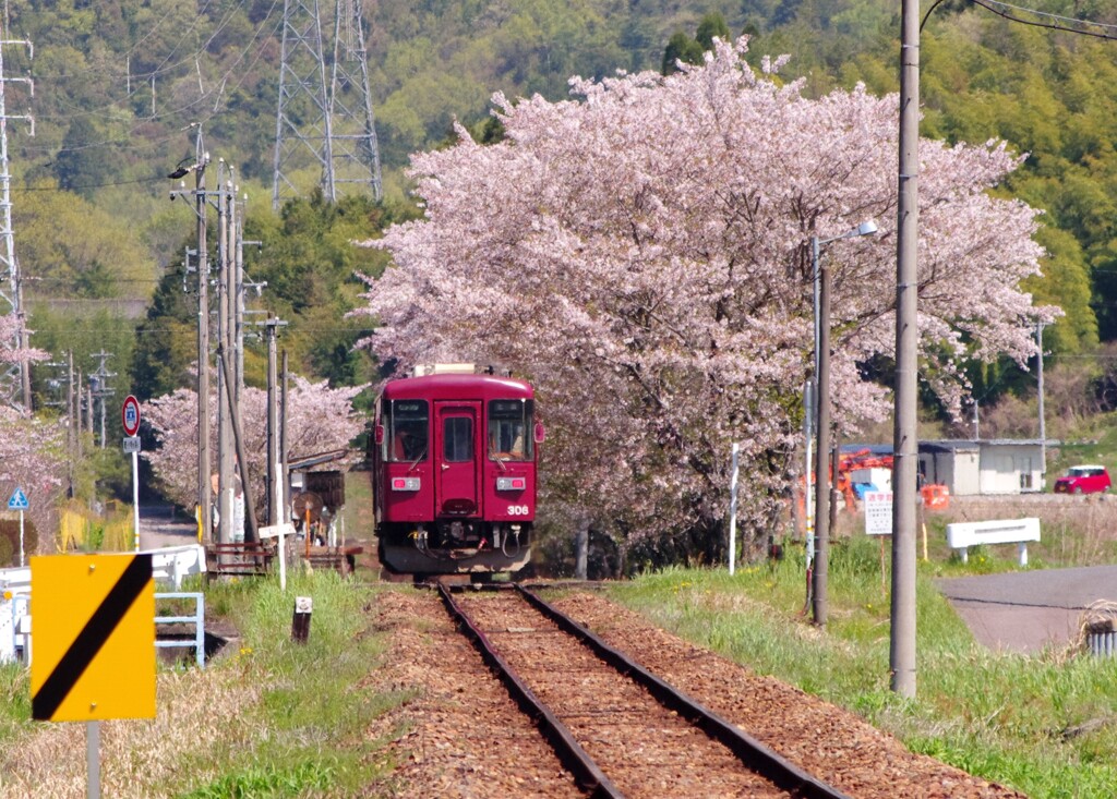 桜駅