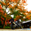 バイクと紅葉