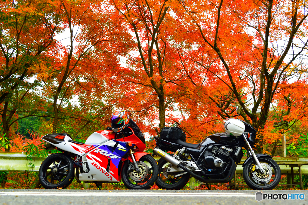 紅葉と愛車