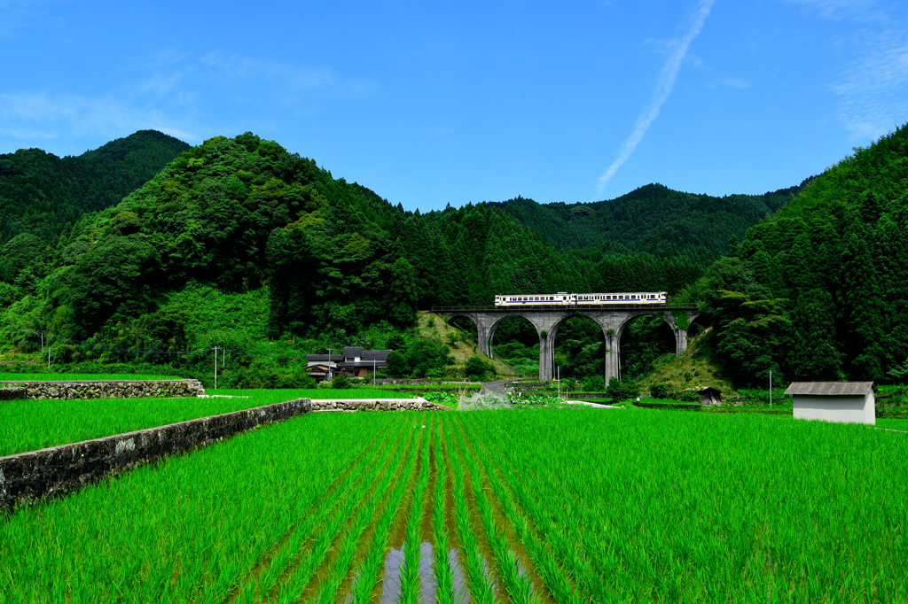 田舎