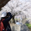 花見を切り撮るオトコ
