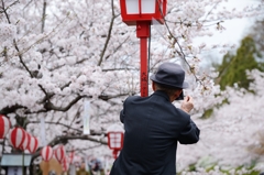 桜を撮る老カメラマン