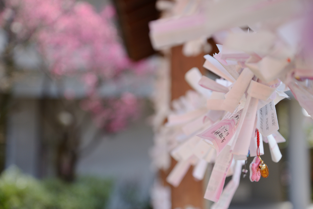 春節の生田神社