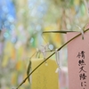 七夕の短冊に・・・、