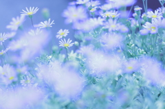 花壇